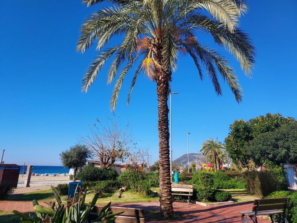 Larsens Suit Hotel Alanya Exterior foto